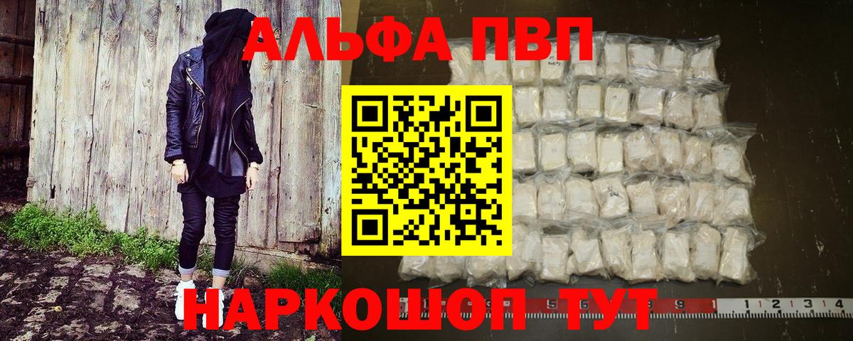 Альфа ПВП СК КРИС Балтийск