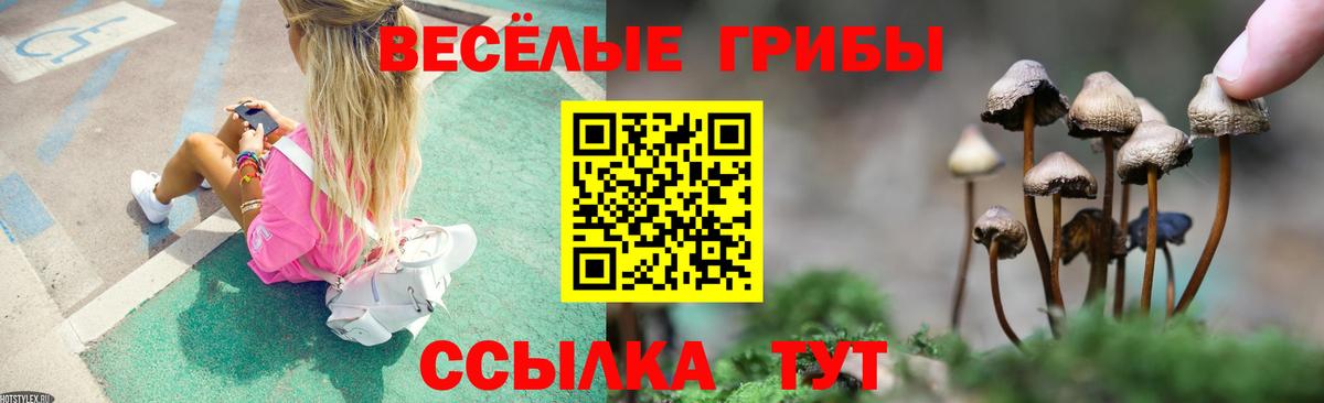 Галлюциногенные грибы Cubensis  Вход с VPN  Балтийск 